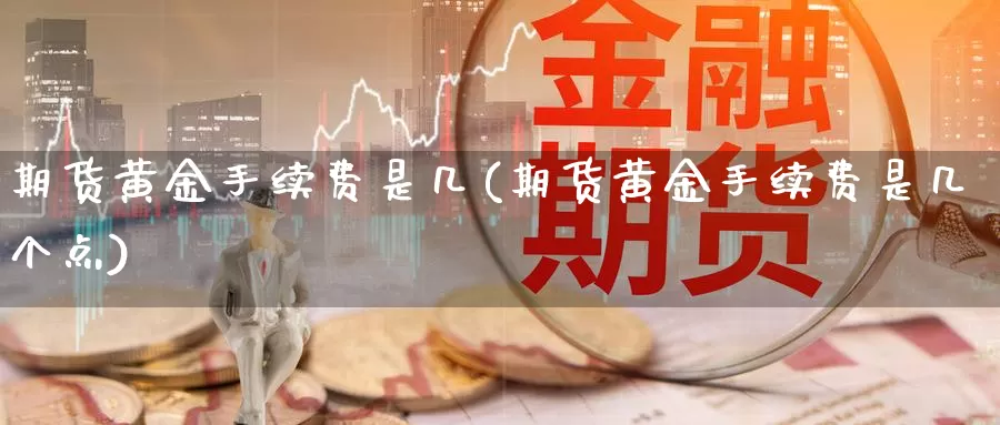 期货黄金手续费是几(期货黄金手续费是几个点)_https://www.qbkangh.com_恒生指数手续费_第1张