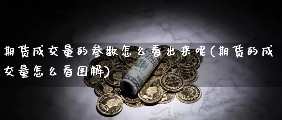 期货成交量的参数怎么看出来呢(期货的成交量怎么看图解)_https://www.qbkangh.com_恒生指数直播室_第1张