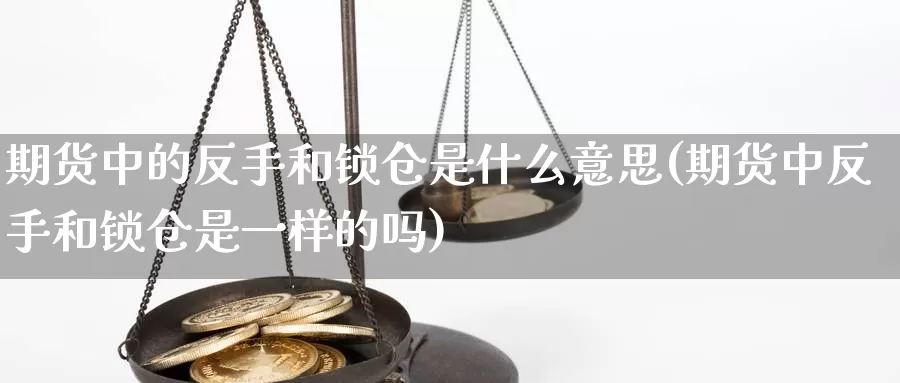 期货中的反手和锁仓是什么意思(期货中反手和锁仓是一样的吗)_https://www.qbkangh.com_恒生指数直播室_第1张