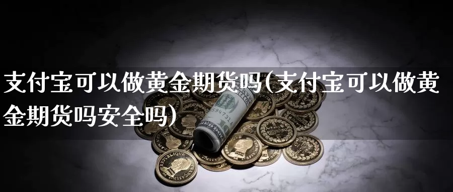 支付宝可以做黄金期货吗(支付宝可以做黄金期货吗安全吗)_https://www.qbkangh.com_恒生指数手续费_第1张