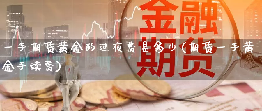 一手期货黄金的过夜费是多少(期货一手黄金手续费)_https://www.qbkangh.com_恒生指数手续费_第1张