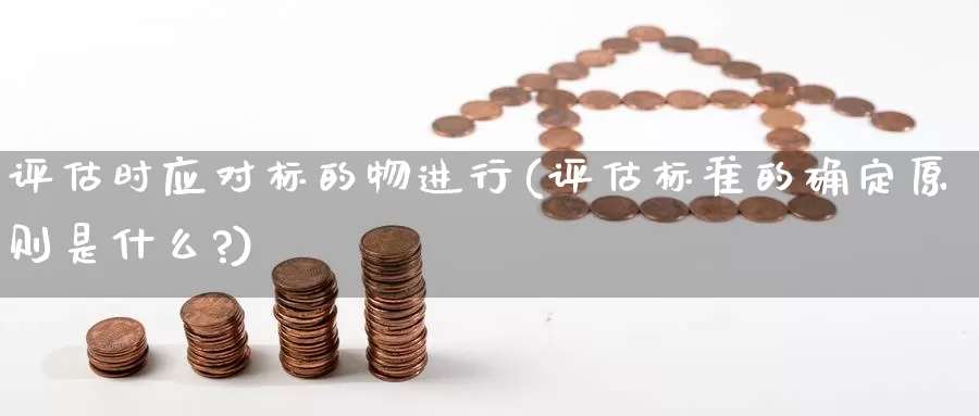 评估时应对标的物进行(评估标准的确定原则是什么?)_https://www.qbkangh.com_恒生指数手续费_第1张