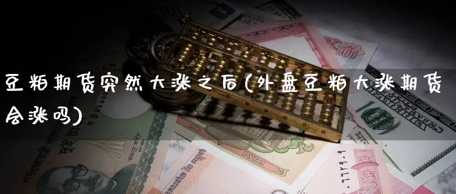 豆粕期货突然大涨之后(外盘豆粕大涨期货会涨吗)_https://www.qbkangh.com_恒生指数直播室_第1张