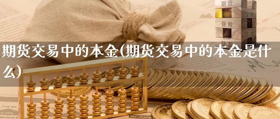 期货交易中的本金(期货交易中的本金是什么)_https://www.qbkangh.com_恒生指数手续费_第1张